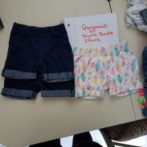 Garanimals 2T shorts bundle